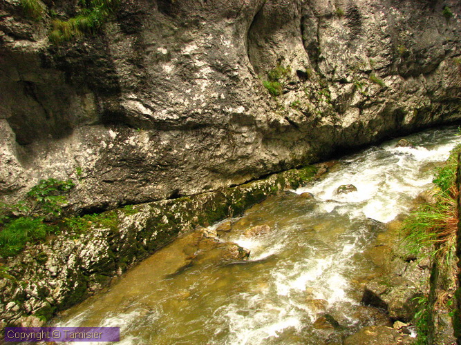 2008-08-30 17-12-47.JPG - 2008-RO>Ri Lacul Rosu-Bicaz Klamm